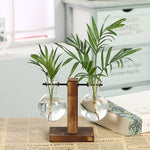 Hydroponic Vintage Flower Pot