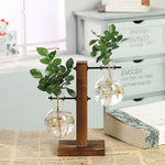 Hydroponic Vintage Flower Pot