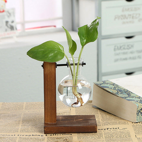 Hydroponic Vintage Flower Pot