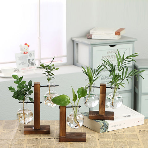 Hydroponic Vintage Flower Pot