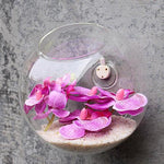 Home Garden Hanging Glass Flower Planter