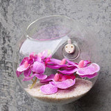 Home Garden Hanging Glass Flower Planter